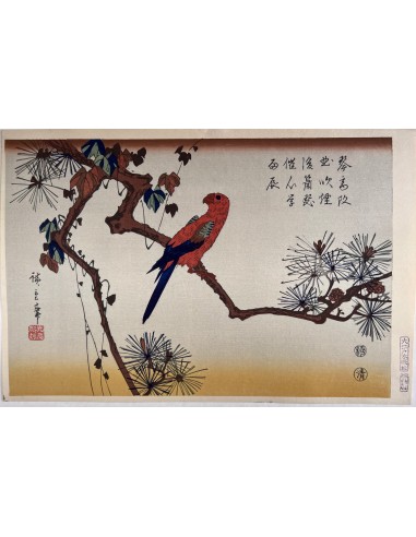 Estampe Japonaise de Hiroshige | Perruche sur une branche de pin pas cher chine