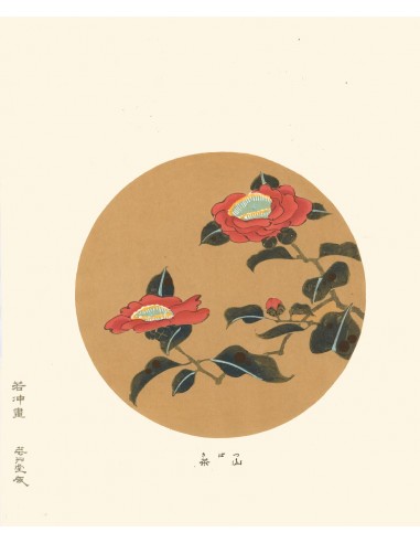 Camelia Tsubaki  de Jakuchu Ito | Reproduction Fine Art pas chere