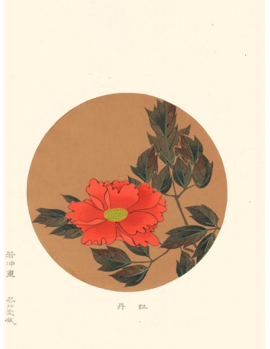 Pivoine de Jakuchu Ito | Reproduction Fine Art 2023