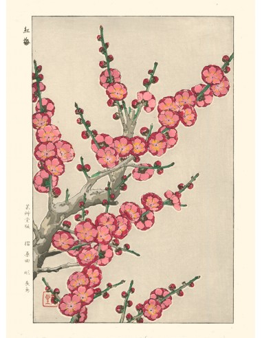 Fleurs de Prunier de Kawarazaki Shodo | Reproduction Fine Art Faites des économies