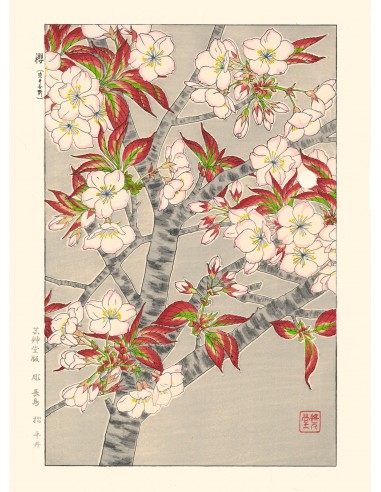 Cerisier en Fleurs de Kawarazaki Shodo | Reproduction Fine Art français