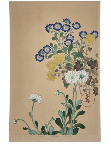 Estampe Japonaise | Chrysanthèmes et asters bleus Comparez et commandez 