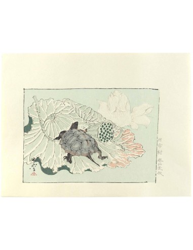 Estampe Japonaise de Kyosai | Tortue sur fleur de lotus Fin de série