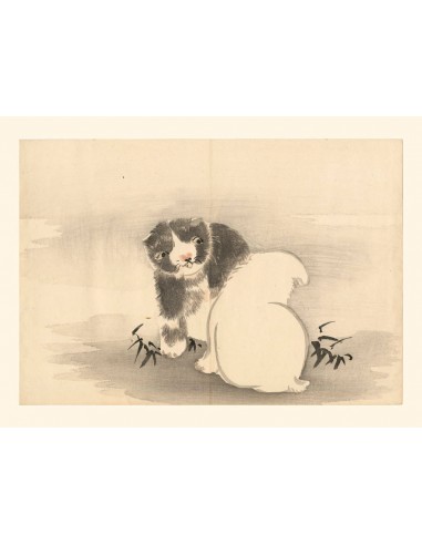 Chiots de Matsuda Kajo, Deux chiots | Reproduction Fine Art livraison et retour toujours gratuits