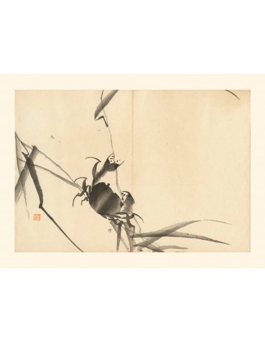 Crabe de Matsuda Kajo | Reproduction Fine Art Venez découvrir notre 