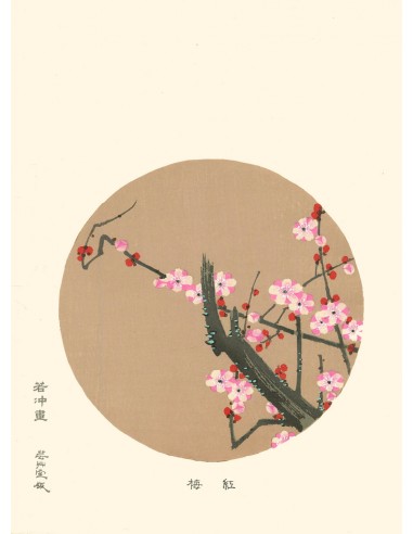 Fleur de Cerisier de Jakuchu Ito | Reproduction Fine Art en stock