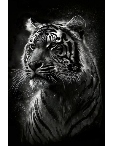 Tableau Tigre Noir et Blanc de pas cher