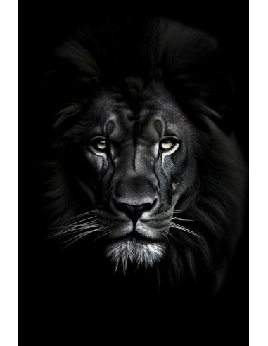 Tableau Lion Noir hantent personnes