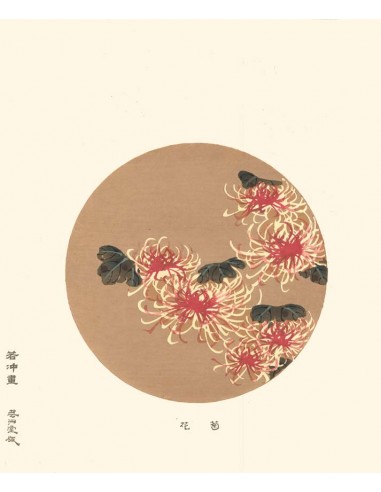 Chrysanthèmes Rouge et Blanc de Jakuchu Ito | Reproduction Fine Art en ligne